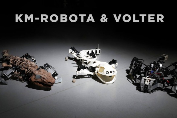 Nová instalace stroje VOLTER SX ve Švýcarsku ve společnosti KM-RoBoTa
