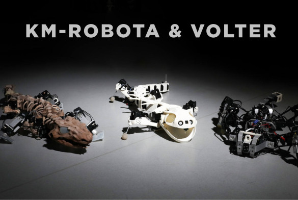 VOLTER SX Installation at Switzerland - Science robotics
